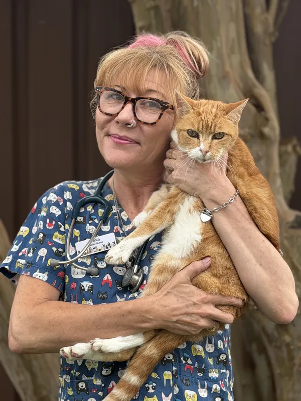 Portrait of Wendy Torok-Mayer